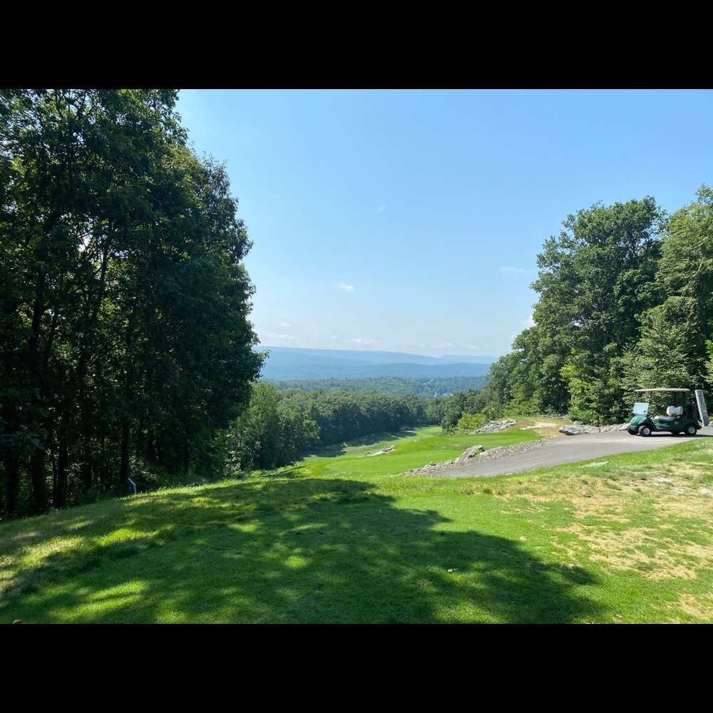 Meet your Posher, Dina